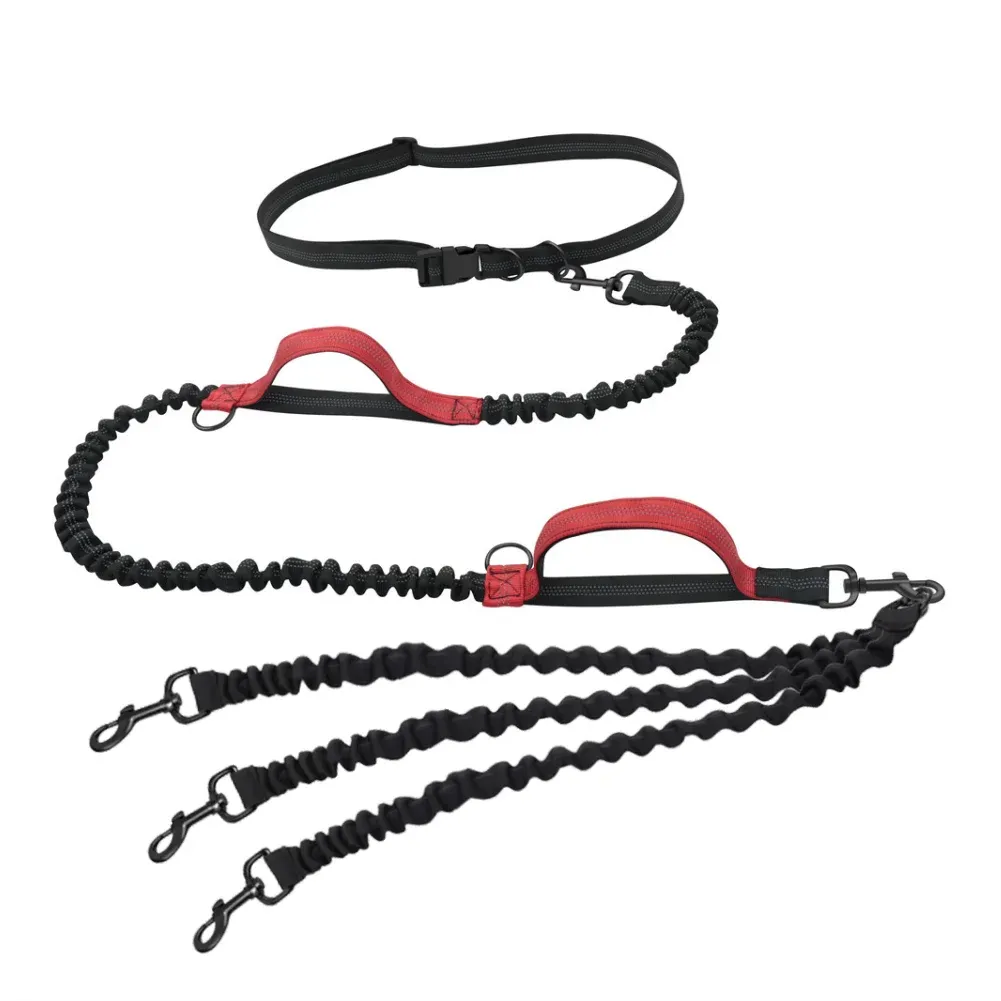 Hands Free Multi-Dog Leash