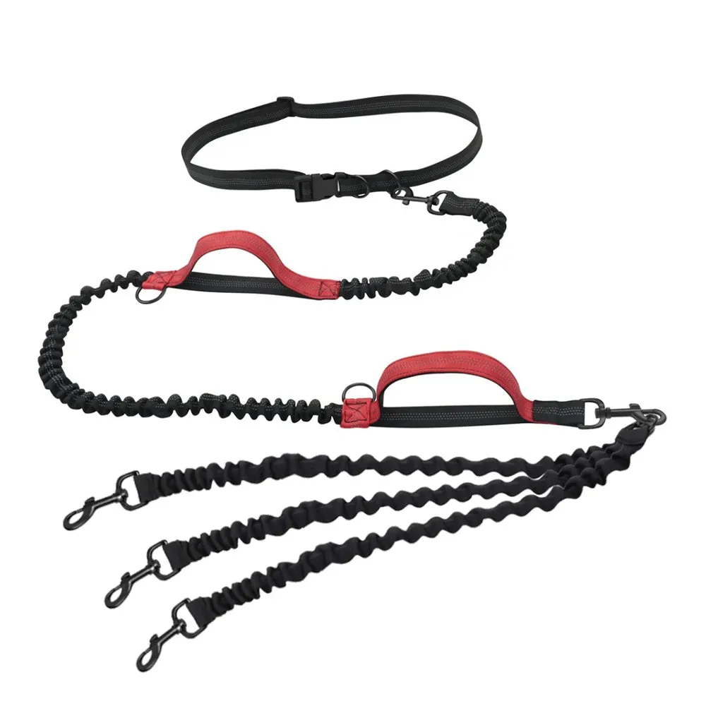 Hands Free Multi-Dog Leash