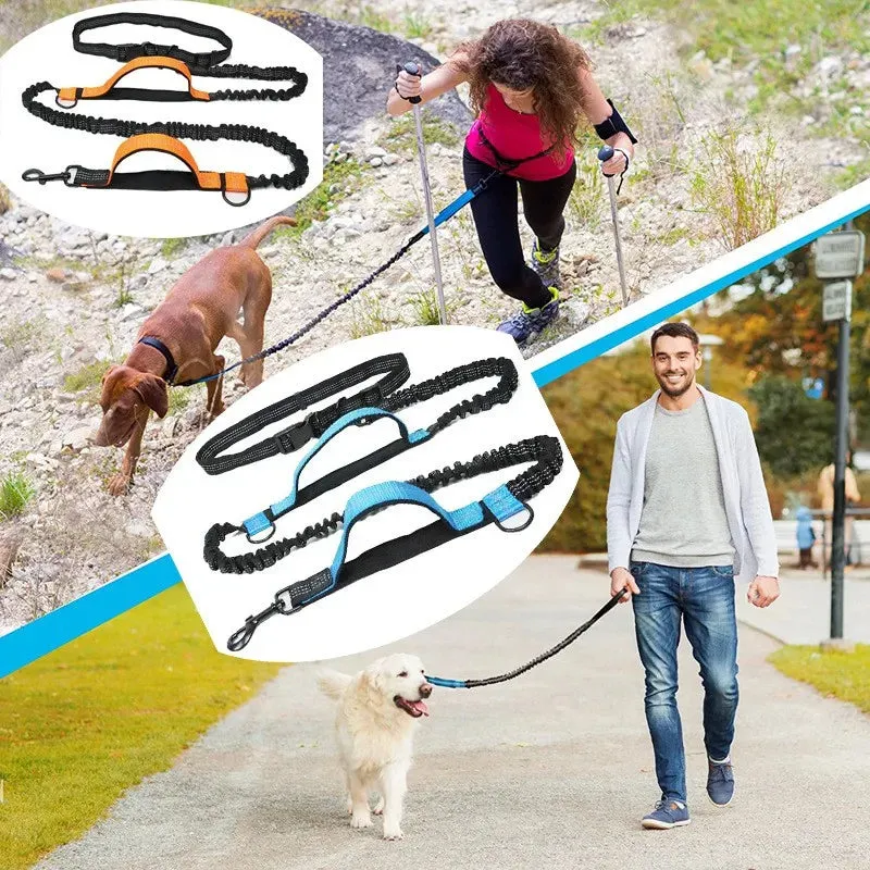 Hands Free Multi-Dog Leash