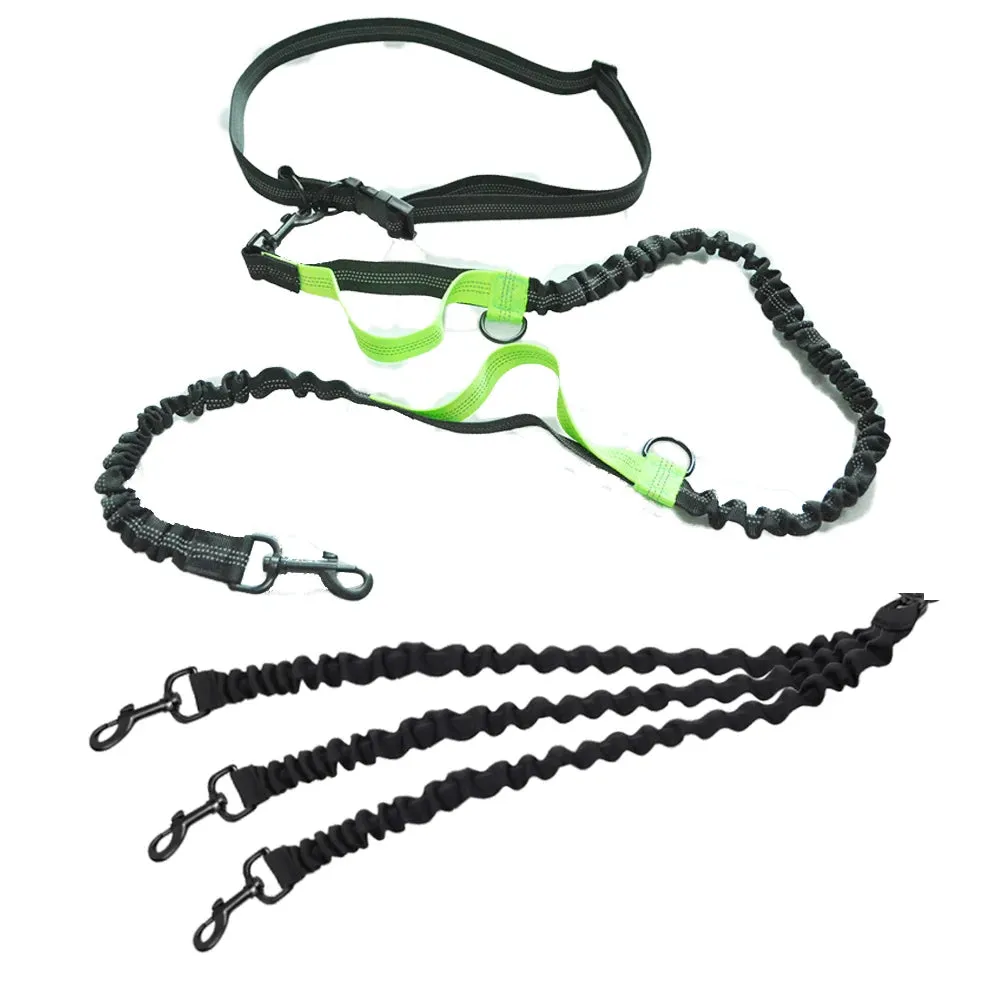 Hands Free Multi-Dog Leash