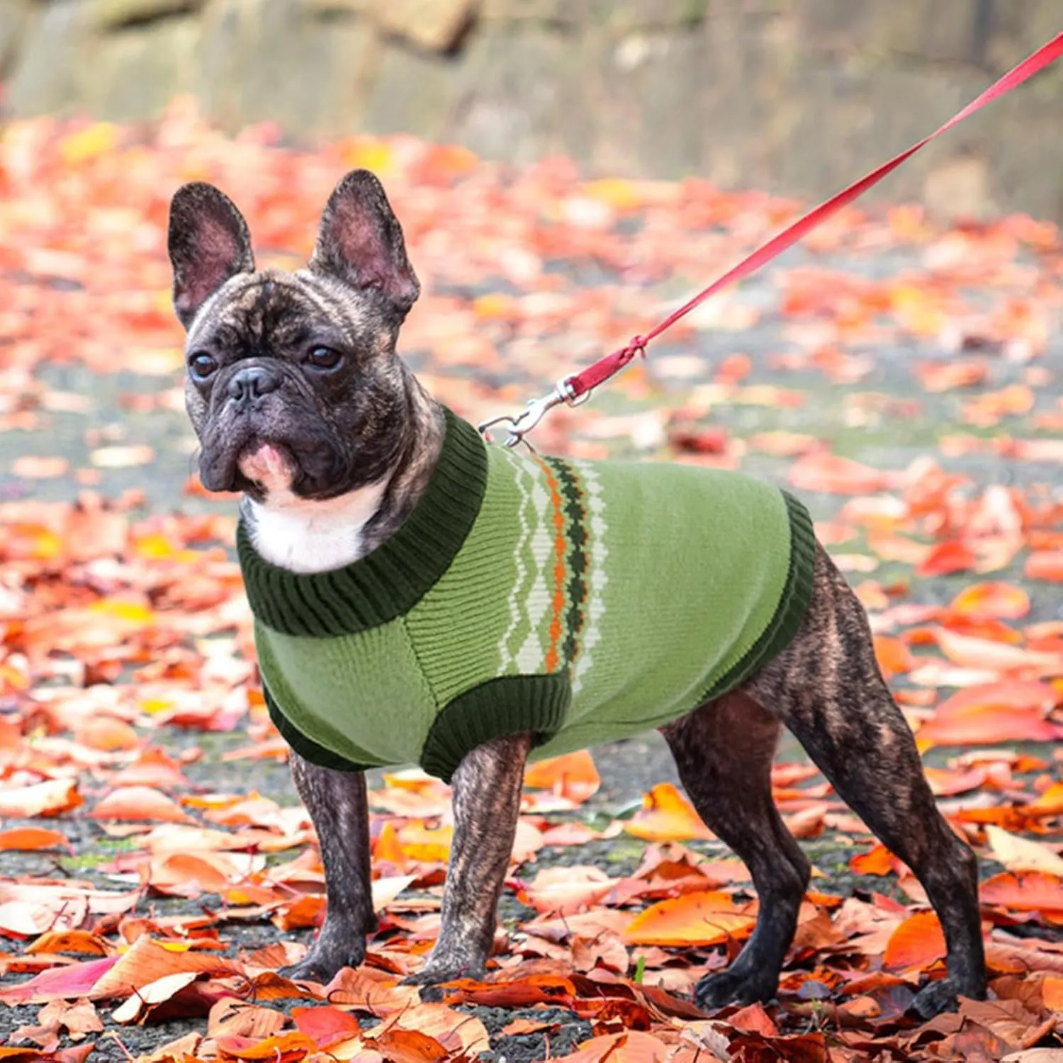 Kuoser Dog Sweater, Small Dog Sweater, Dog Sweaters for Small Dogs Girl Boy, Thermal Puppy Christmas Sweater Knitwear, Cold Weather Pet Winter Pullover Sweatshirt Apparel with Leash Hole, Green XS
