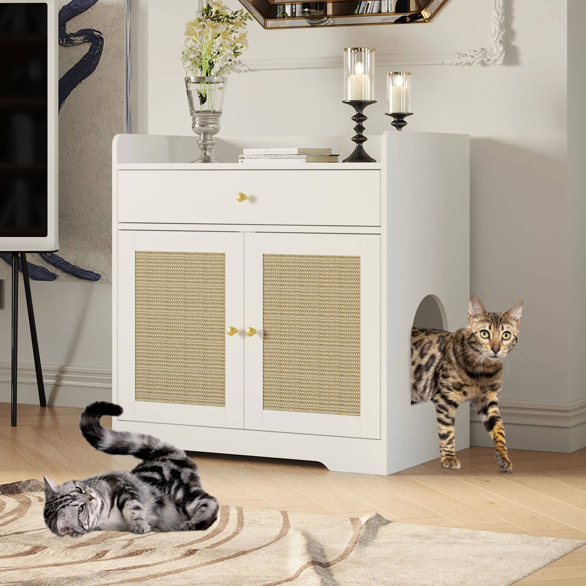 Litter Box Enclosure With Sisal Doors