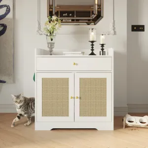 Litter Box Enclosure With Sisal Doors