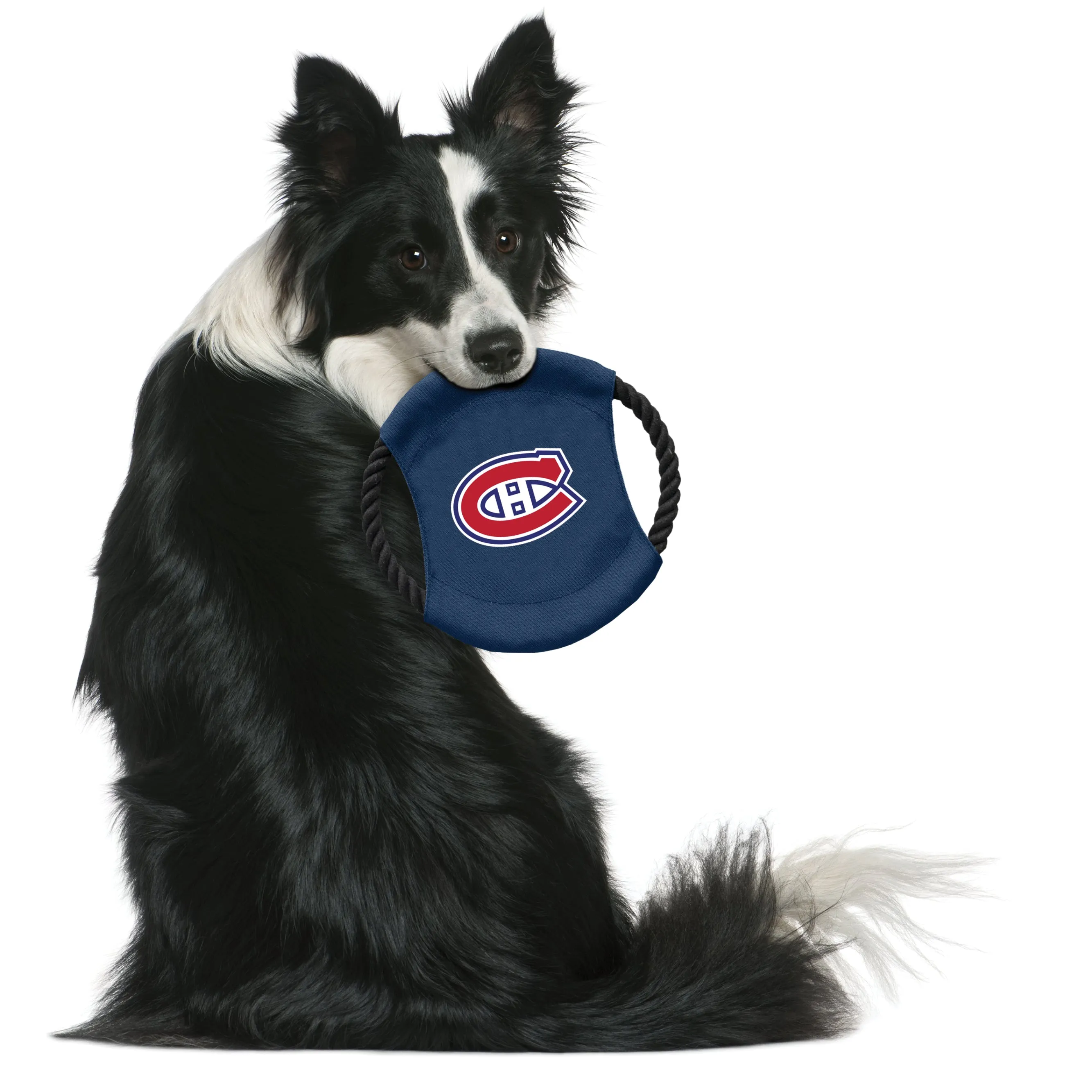 Montreal Canadiens Team Flying Disc Pet Toy