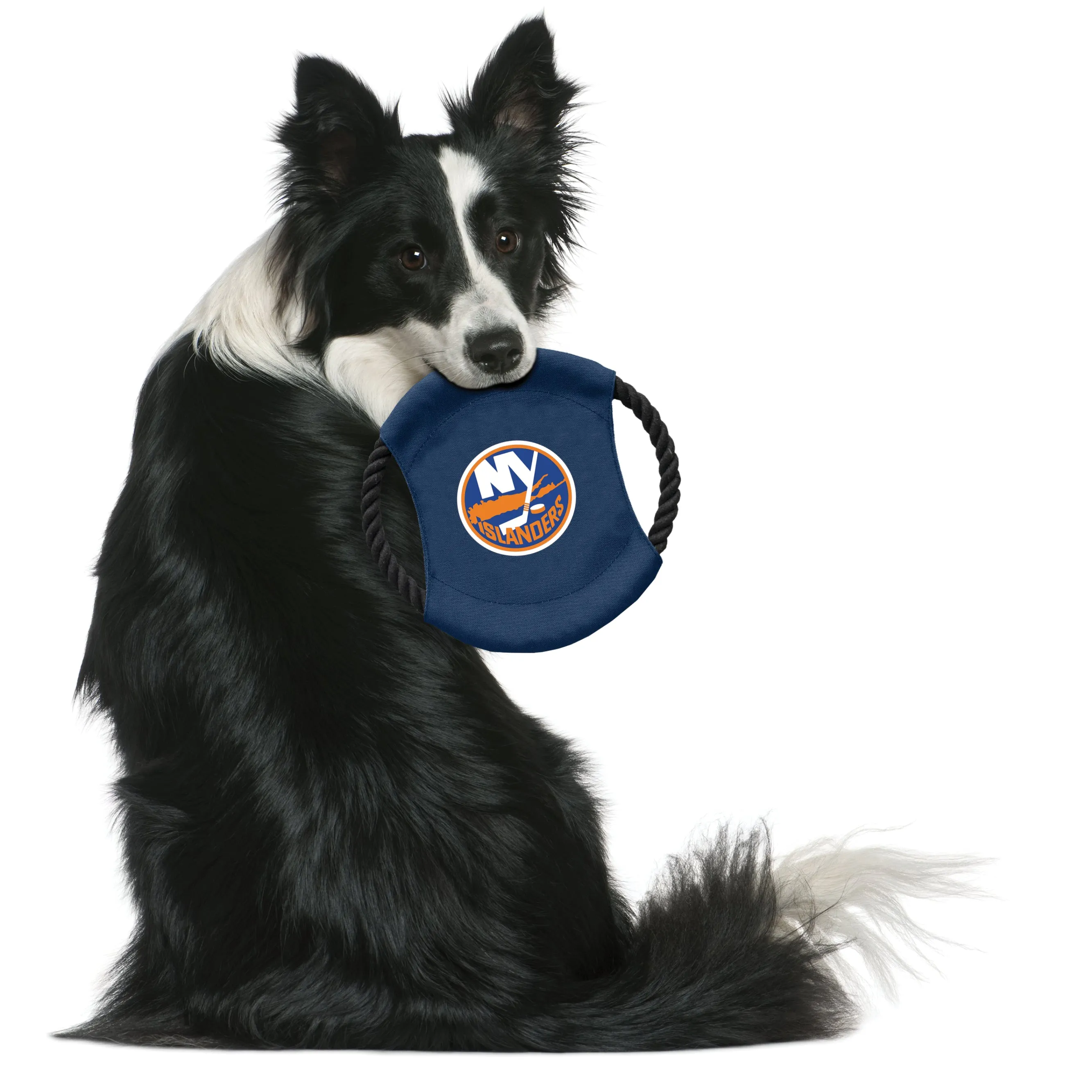 New York Islanders Team Flying Disc Pet Toy