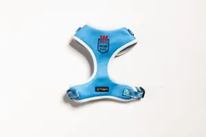 NRL Pet Harness - New South Wales Blues - Size XS to XL - Dog - Cat