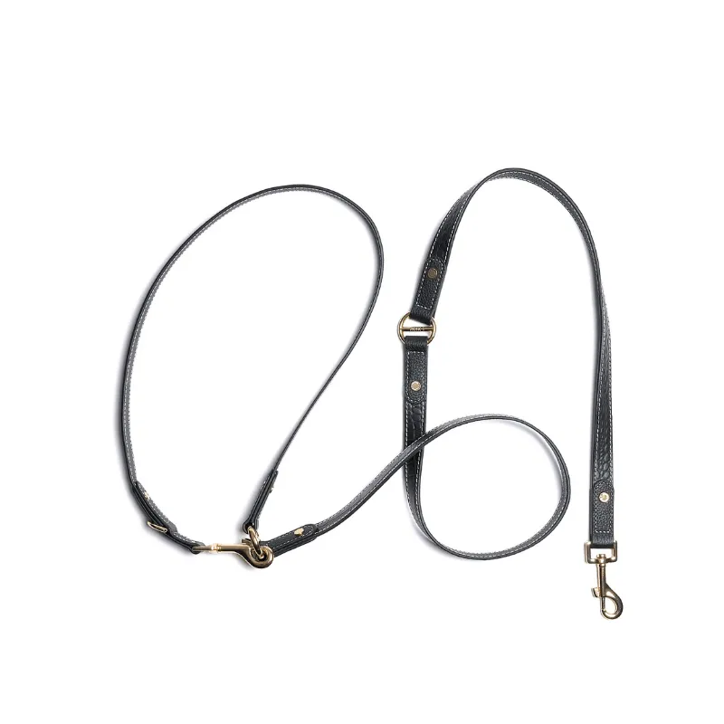 Obsidian Hands-Free Dog Leash