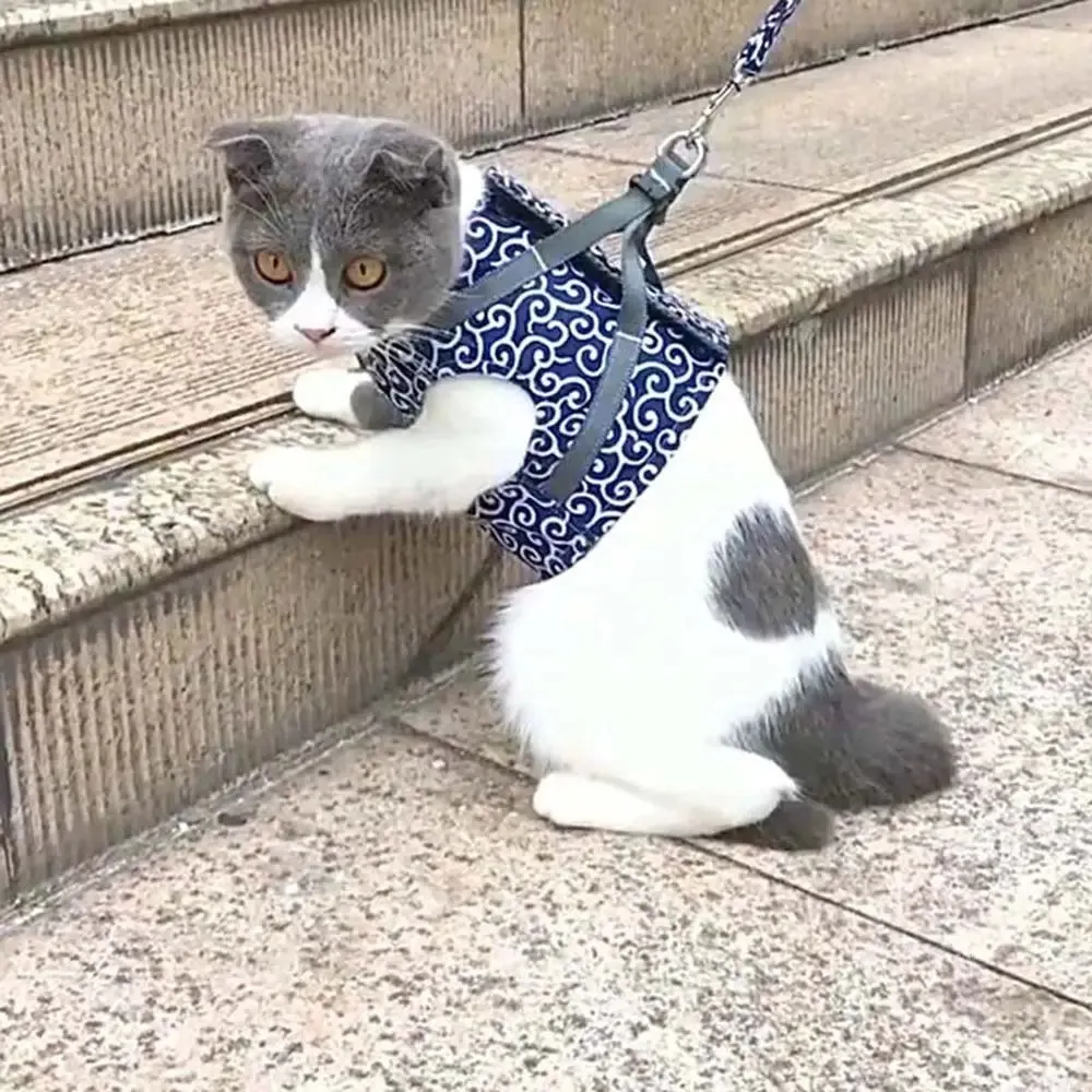 Pat and Pet Emporium | Pet Harnesses | Japanese Cat Harness