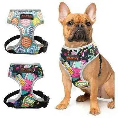 Pawsome Perfection Nylon Pet Harness
