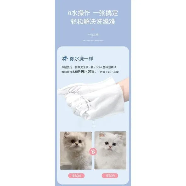 Pet Hands-Free Set (Two Pieces)