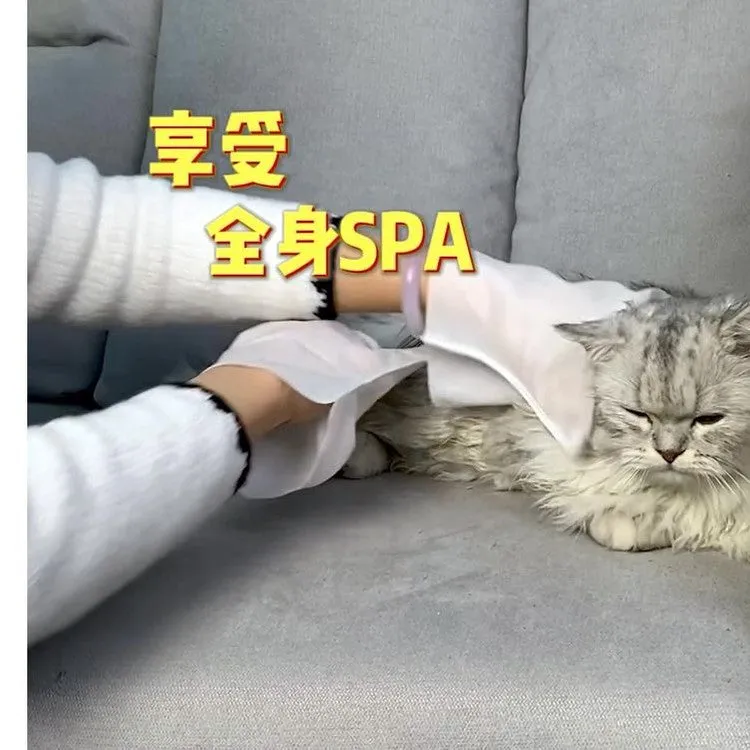 Pet Hands-Free Set (Two Pieces)