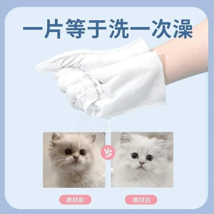 Pet Hands-Free Set (Two Pieces)