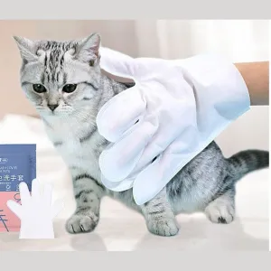 Pet Hands-Free Set (Two Pieces)
