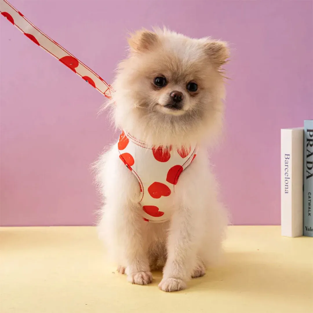 PetAffairs Luxury Dog Harness and Leash Set