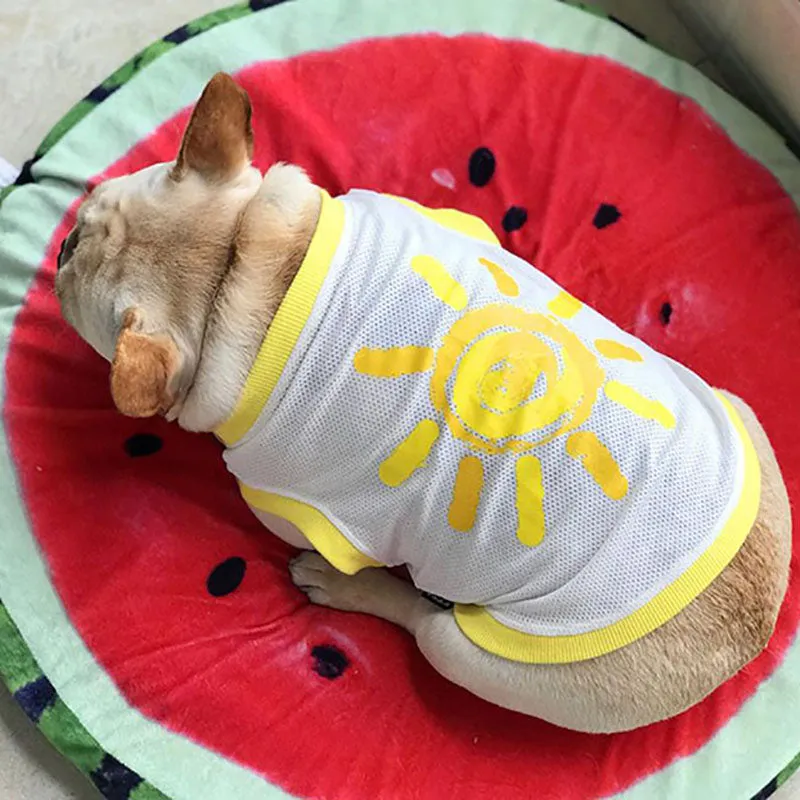 Pug bull dog breathable mesh vest