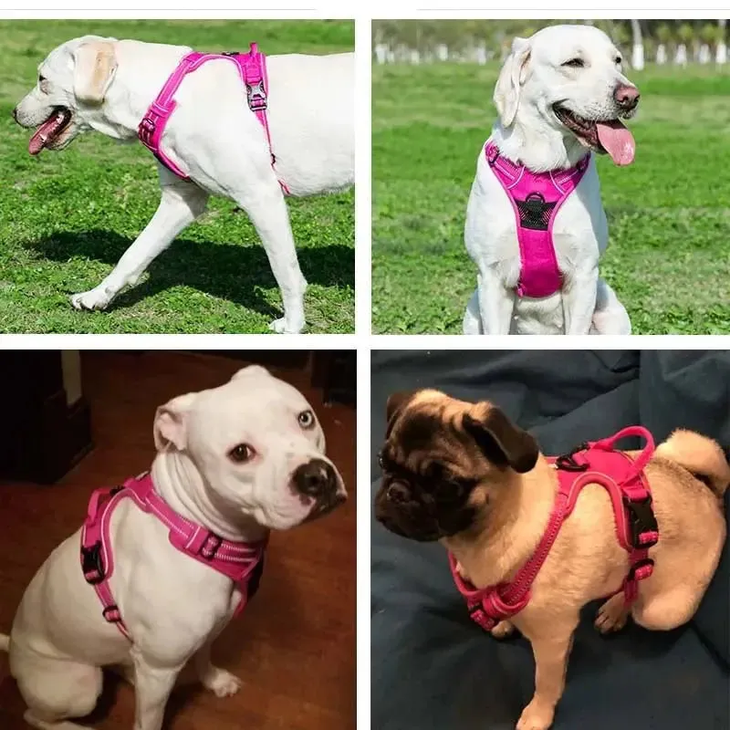 Reflective Breathable Pet Harness Vest for Ultimate Comfort