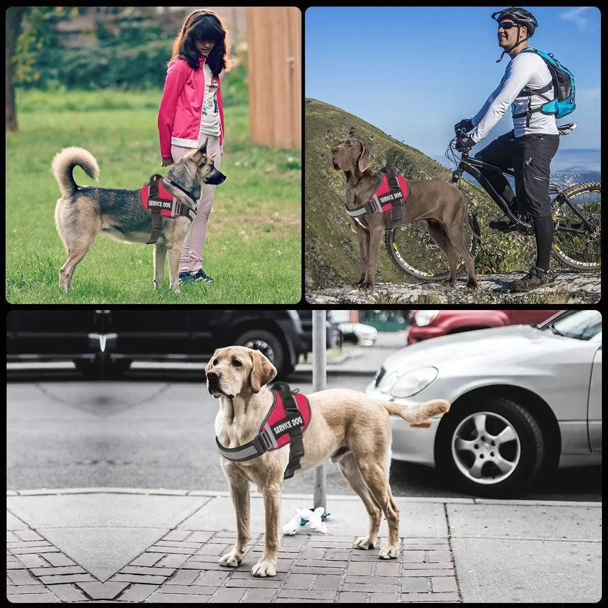 Reflective Comfortable Pet Chest Strap Traction Rope Leash Undershirt