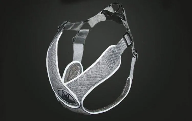 Reflective Dog Harness - Step In Harness - Night Time Visibility