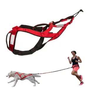 Reflective Dog Harness Vest for Sledding and Mushing Activities