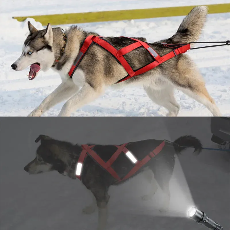 Reflective Dog Harness Vest for Sledding and Mushing Activities