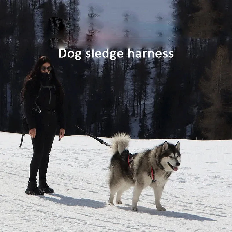 Reflective Dog Harness Vest for Sledding and Mushing Activities
