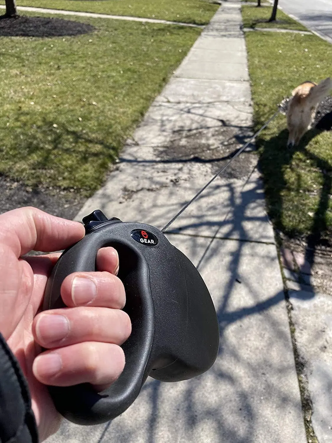 Retractable Dog Leash for Large and Medium Dogs with Locking Carabiner | Heavy Duty 16 ft Strong Reflective Polyester Webbing, 1-Button Break & Lock, Anti-Slip Handle, Tangle Free