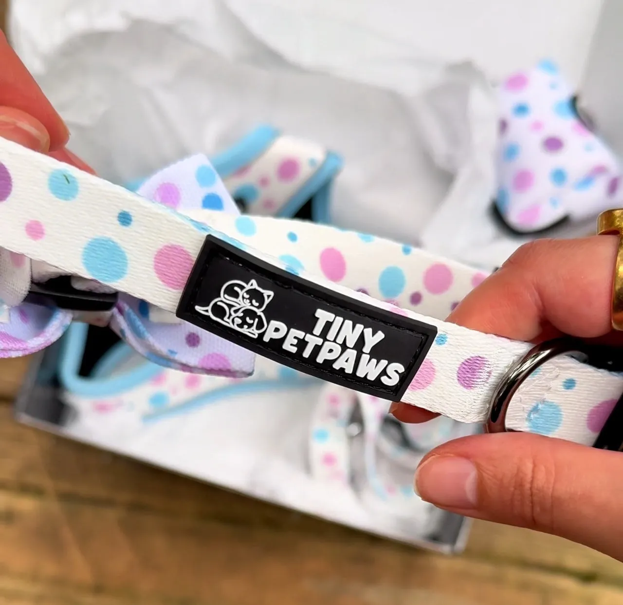 Sky Blue Harness Set