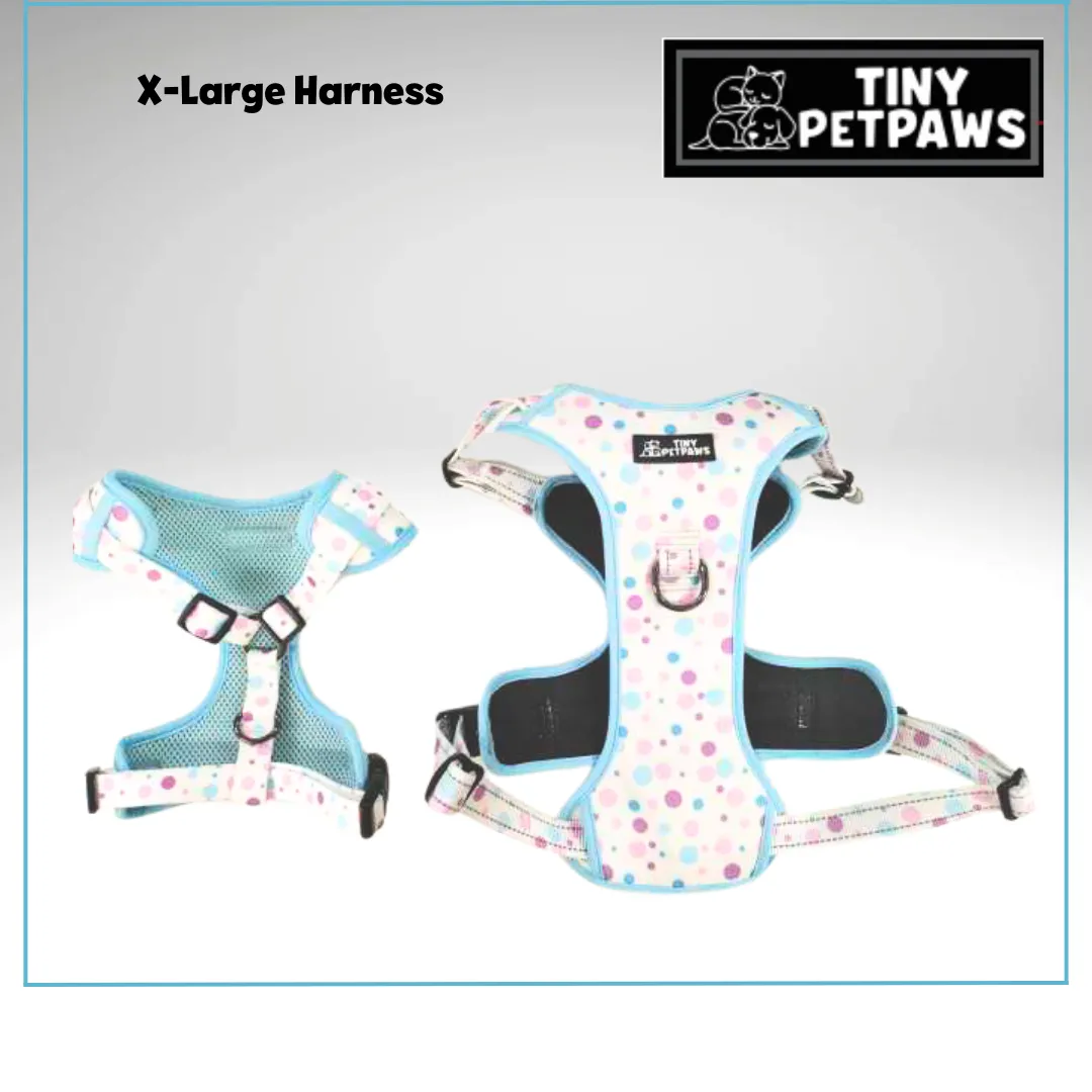 Sky Blue Harness Set