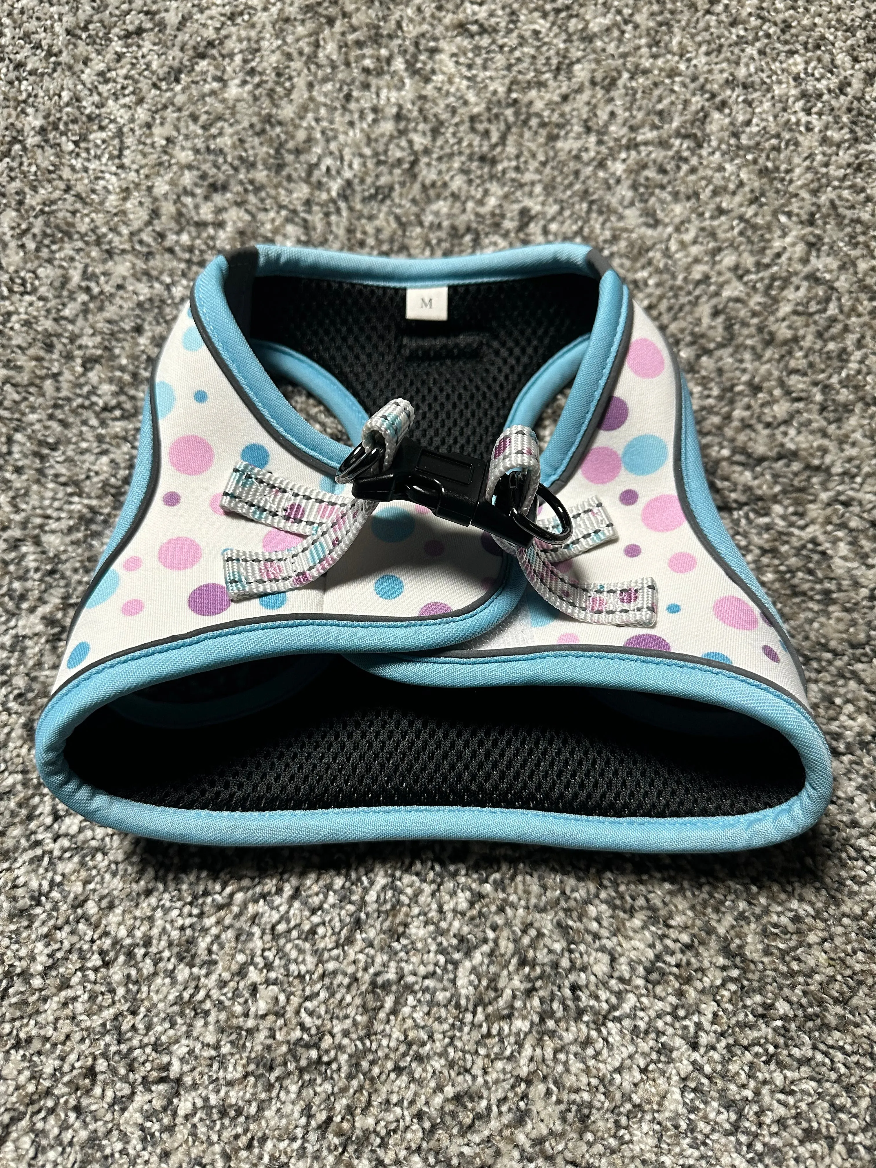 Sky Blue Harness Set