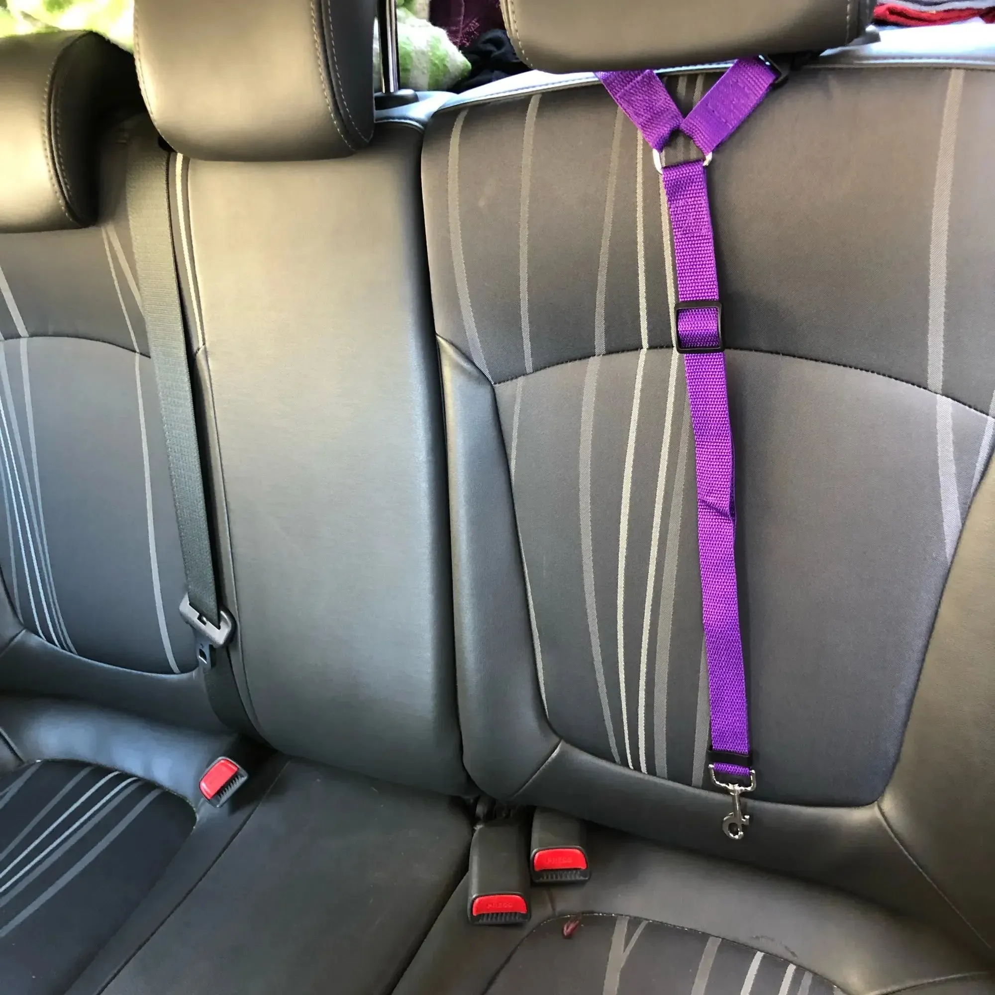 Solid Color Two-in-One Pet Car Seat Belt | Nylon Lead Leash Backseat Safety Belt | Adjustable Dog Harness Collar | Pet Accessories