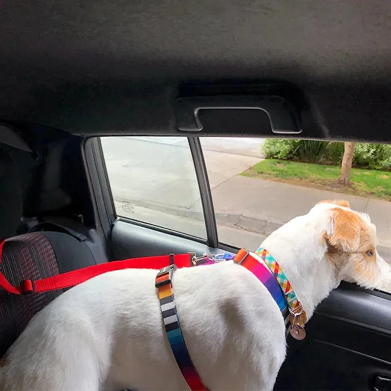 Solid Color Two-in-One Pet Car Seat Belt | Nylon Lead Leash Backseat Safety Belt | Adjustable Dog Harness Collar | Pet Accessories