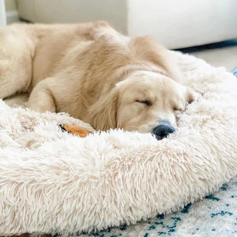 Soothing Calming Donut Pet Bed in White
