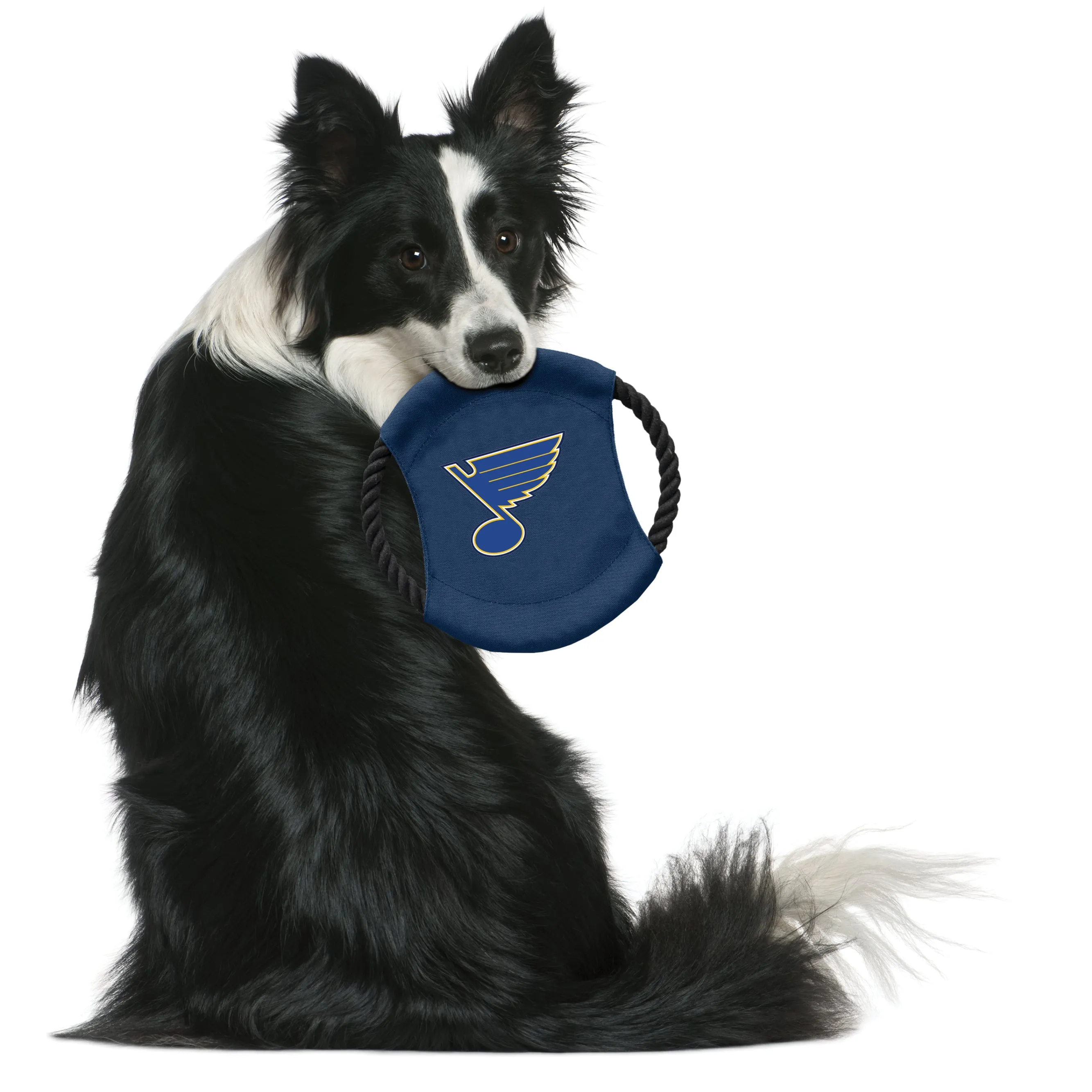 St. Louis Blues Team Flying Disc Pet Toy