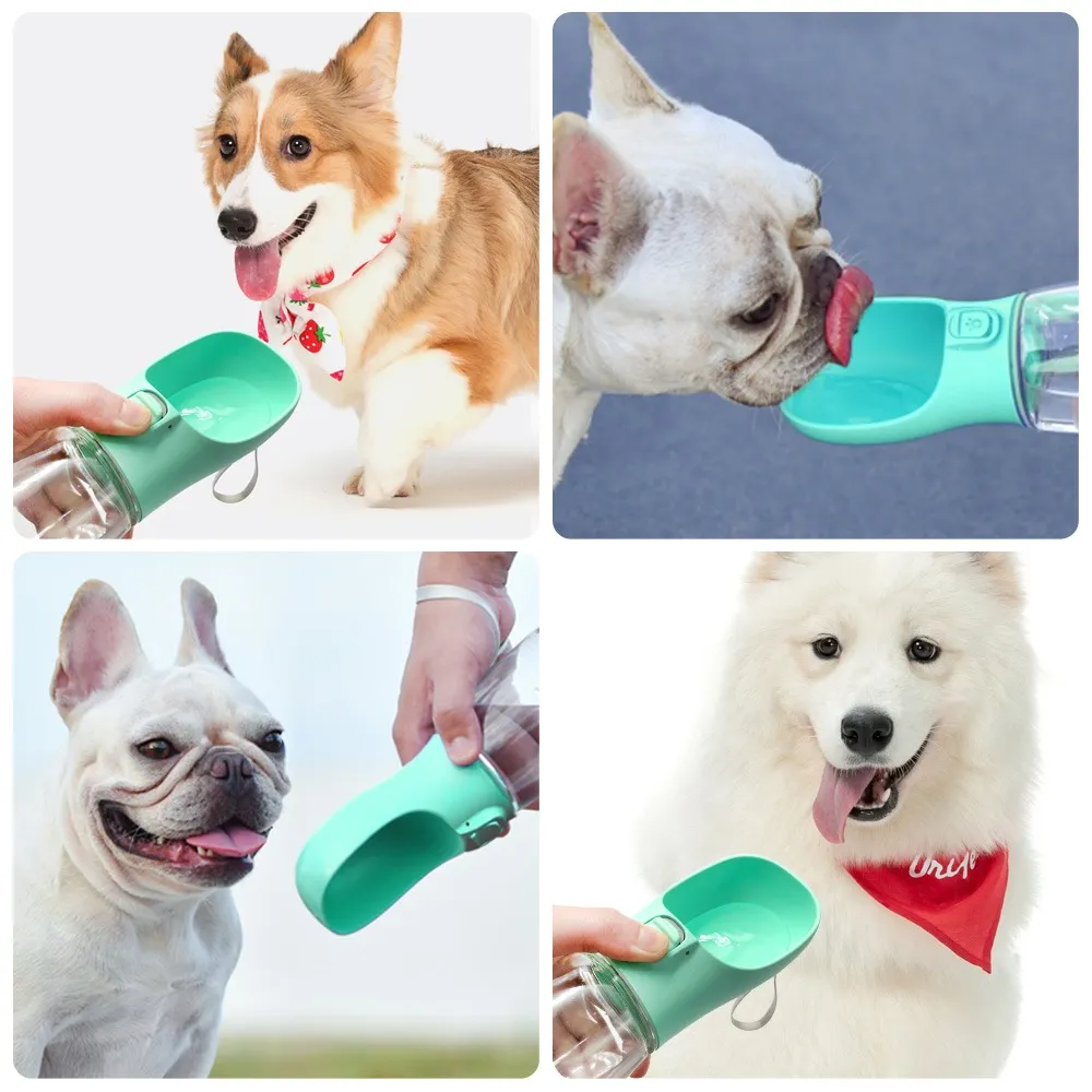 Travel Water Dispenser | PetPals®