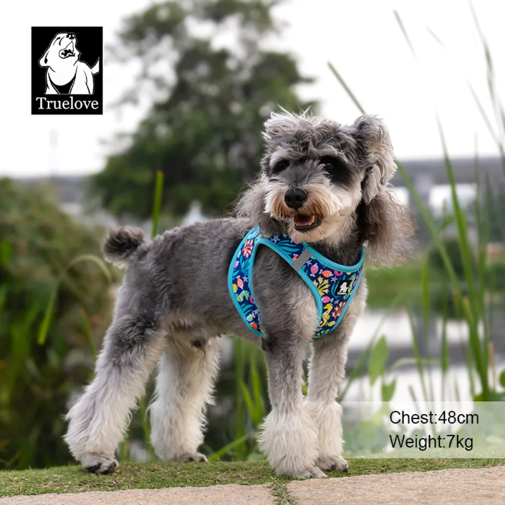 Truelove Floral Printed Breathable Air Mesh Harness for Dogs (Blue Atoll)