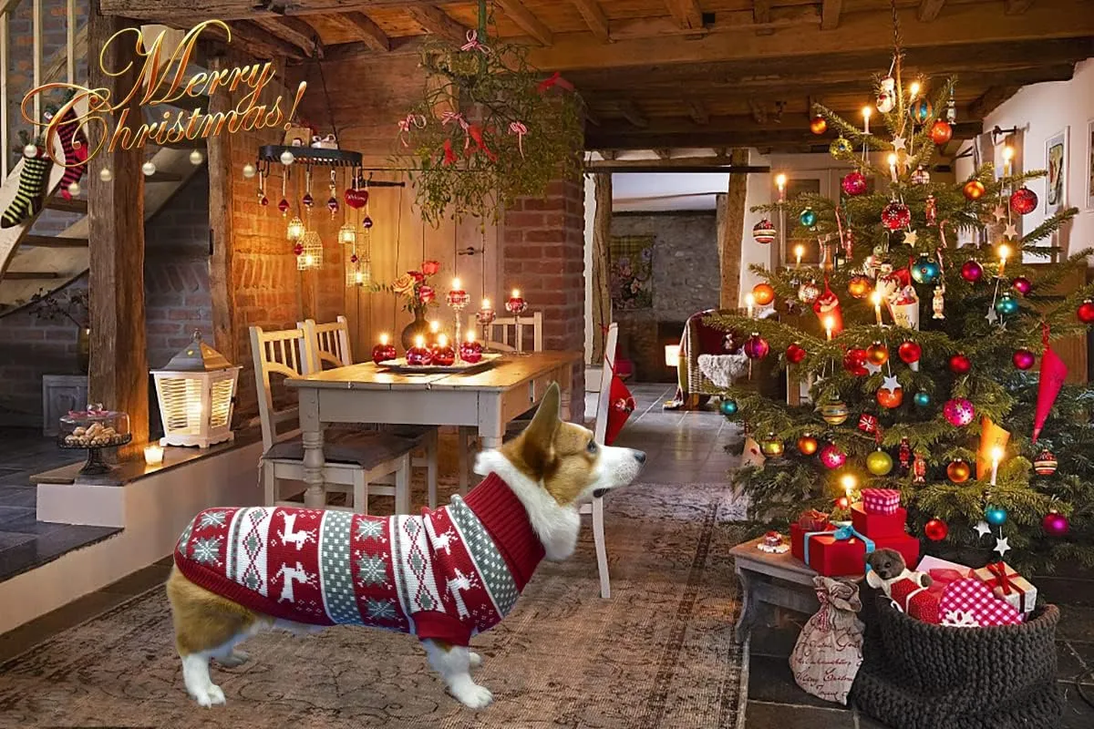 Vehomy Dog Christmas Sweater Xmas Pet Winter Knitwear Clothes Classic Warm Turtleneck Sweater Reindeer Snowflake Argyle Sweater Outfit for Medium Large Dogs XXL